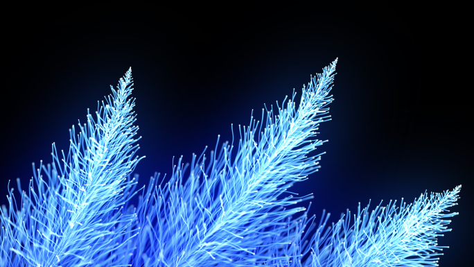 蓝色粒子线条树枝光纤羽毛合集