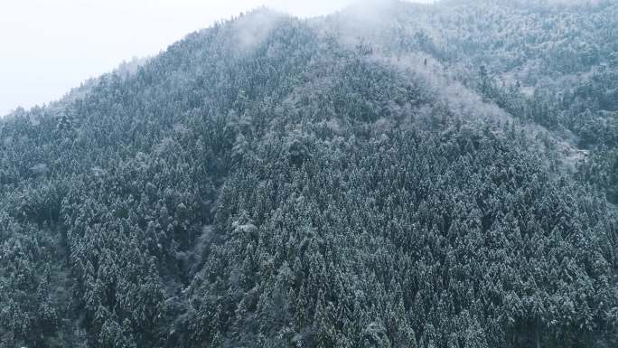 白雪皑皑大雪覆盖森林，山林雪景航拍