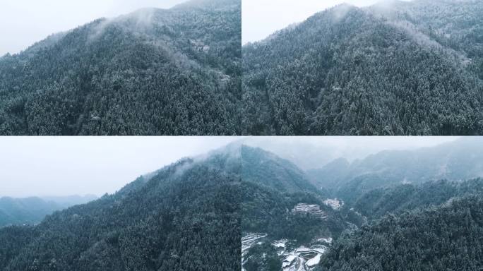 白雪皑皑大雪覆盖森林，山林雪景航拍