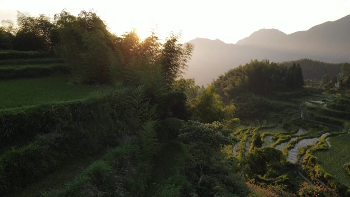 底角度航拍日出时梯田中的村庄