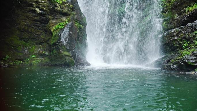 4k森林大自然流水风景树林山水自然山山川