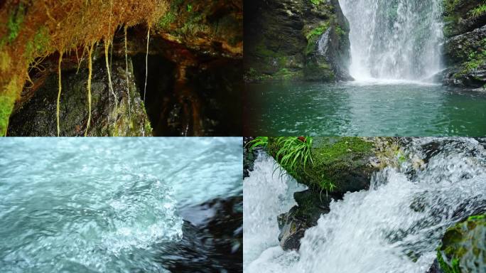 4k森林大自然流水风景树林山水自然山山川