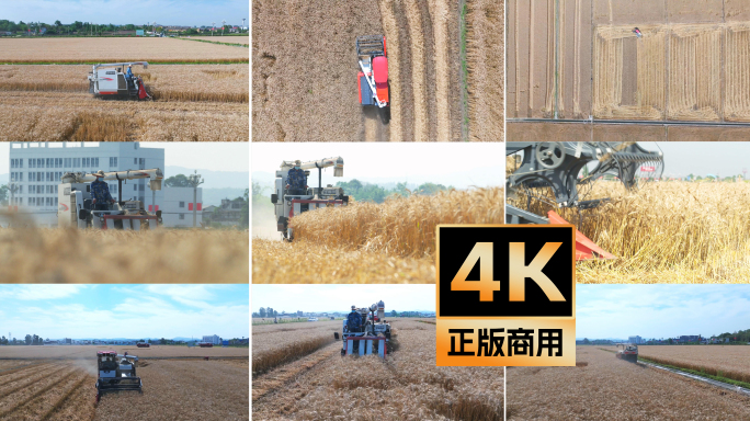 4K小麦收割一组多景别
