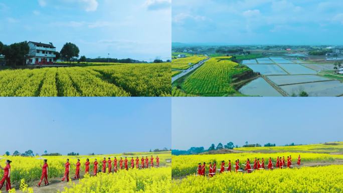 乡村农村油菜花