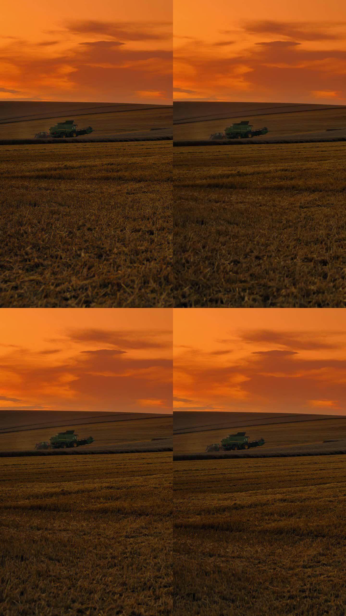 黄昏时分，橙色天空衬托下，成熟麦田里的联合收割机起重机镜头