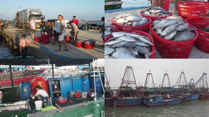 海南文昌码头渔船市场
