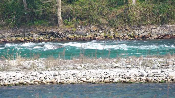 四川都江堰岷江内江的江水