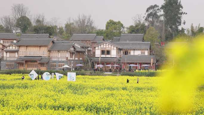 天府正兴 官塘新村 油菜花田园春天 村落