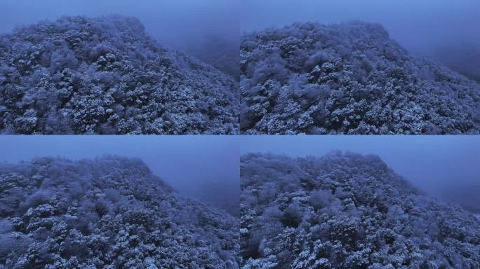 江西龟峰雪景