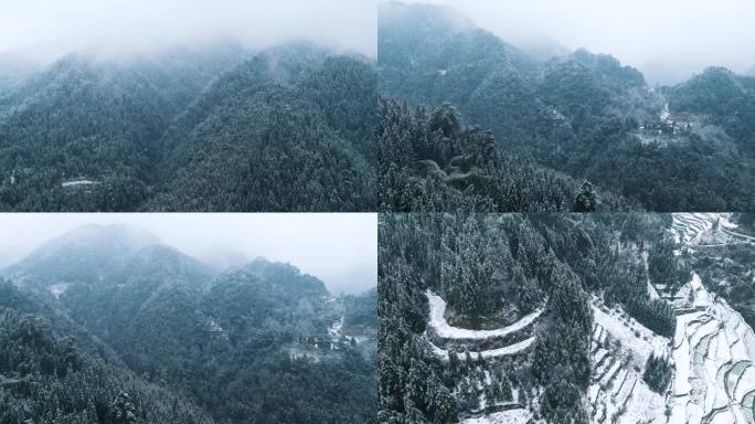 森林雪景，冬天下大雪，唯美雪景航拍