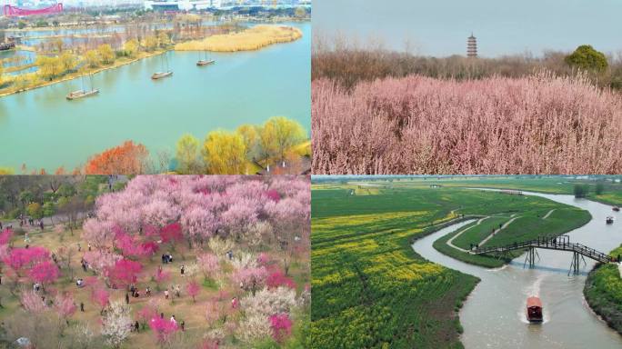 扬州的初春-春和景明