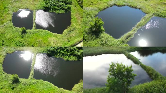 草原水坑