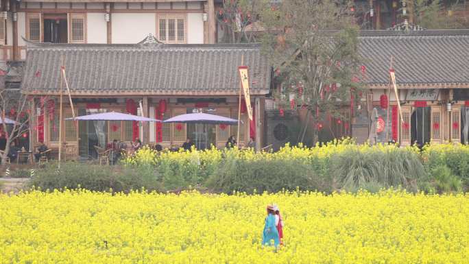 天府正兴 官塘新村 油菜花 田园春天村落