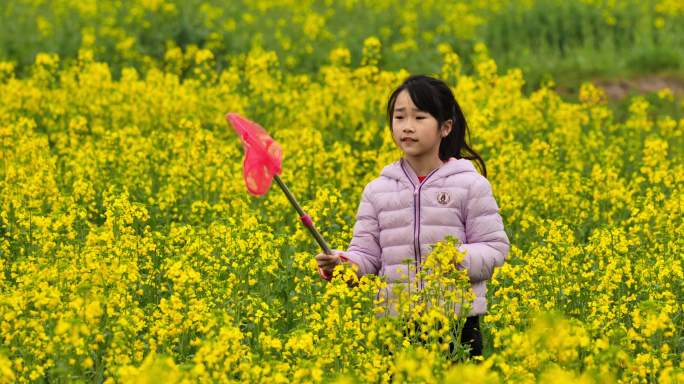 4k春天在油菜花间玩耍的小孩