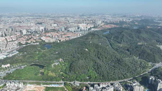 东莞黄旗山航拍城市山峰森林公园旗峰公园