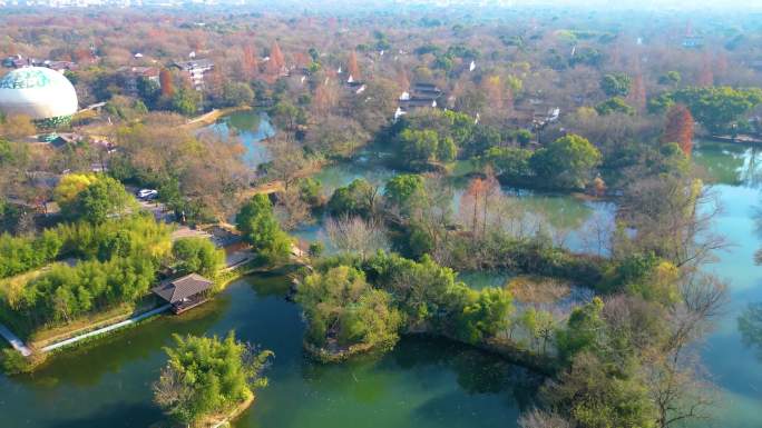 杭州西湖区西溪湿地美景风景视频素材