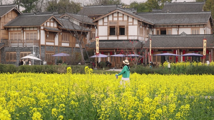 天府正兴 官塘新村 油菜花田园春天 村落