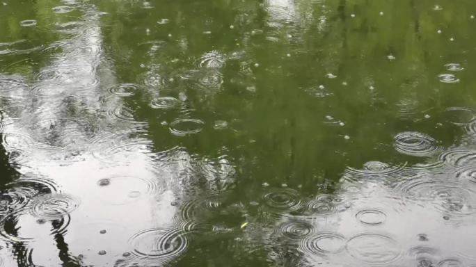 听雨