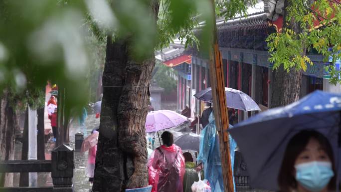 文旅旅游河南嵩山少林寺、雨天游客、塔林