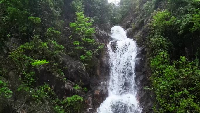 雨林瀑布峡谷水流  溪流