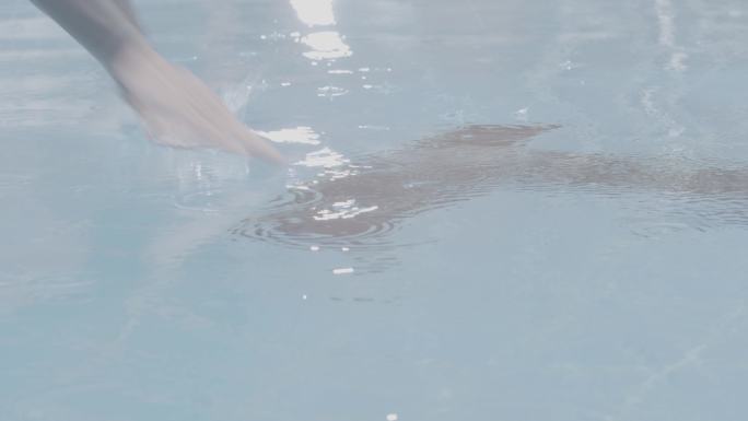 【4K】游泳运动员跳入游泳池运动健身体育