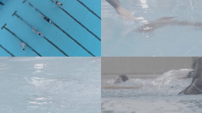 【4K】游泳运动员跳入游泳池运动健身体育