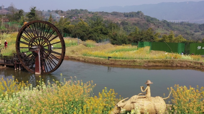 航拍重庆北碚水土新城田园牧歌的五彩油菜花