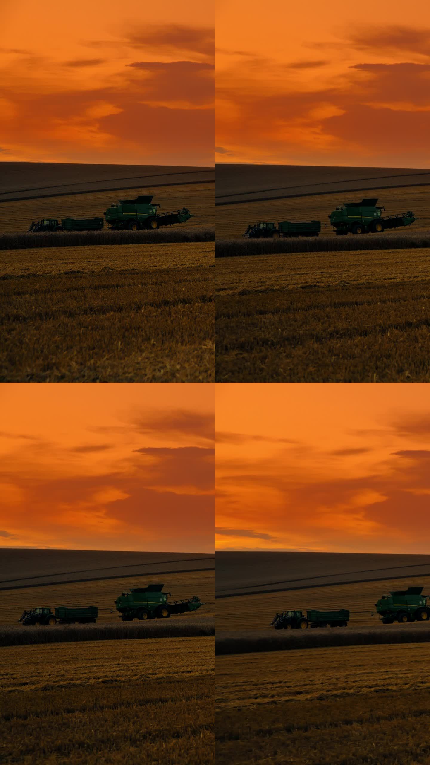 日落时分，橙色天空衬托下，小麦景观上的农用车吊车镜头