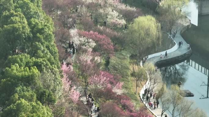 合肥光匡河园开花季