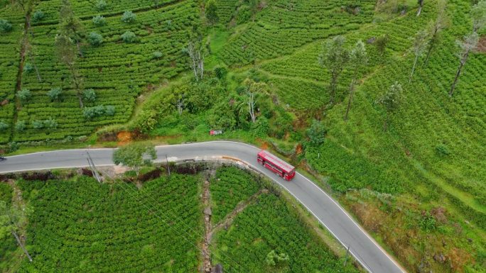 一辆红色巴士在斯里兰卡的茶园路上的鸟瞰图
