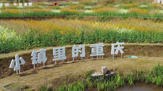 航拍重庆北碚水土新城田园牧歌的五彩油菜花