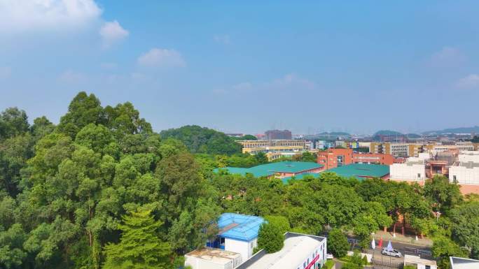 广州大学城航拍校园广州番禺区广东城市风景