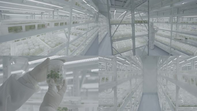 农业草莓育苗实验室log素材