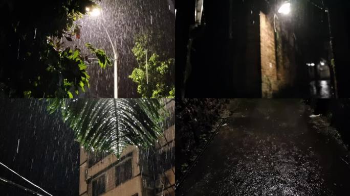 黑夜暴雨树江南夜春雨和风细雨雨丝夜晚雨滴