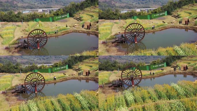 航拍重庆北碚水土新城田园牧歌五彩油菜花