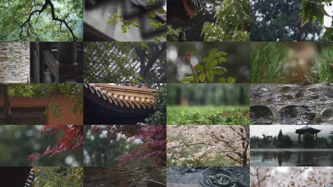 谷雨惊蛰春雨屋檐下雨雨滴雨水下雨树花