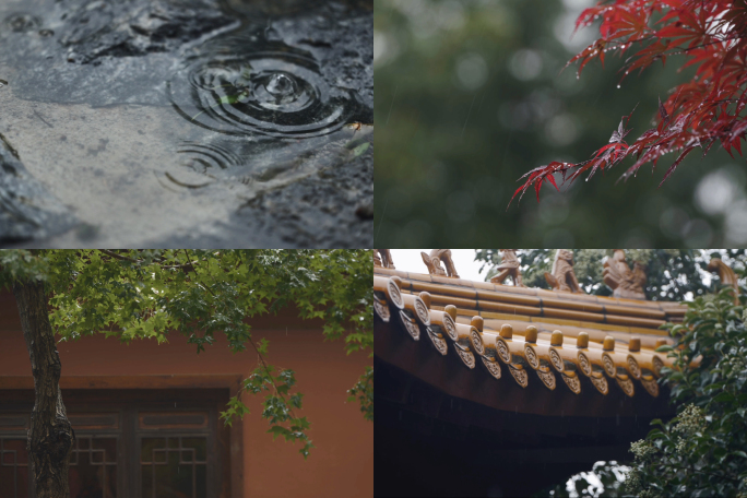 谷雨惊蛰春雨屋檐下雨雨滴雨水下雨树花