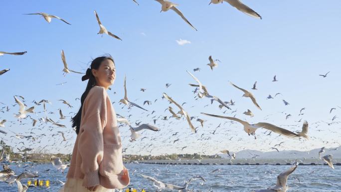 4K昆明海洪湿地公园美女仰望海鸥鸟群