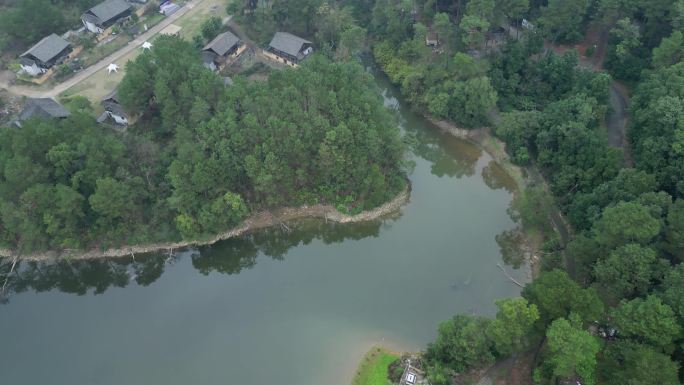 园林湖泊植物树木绿化