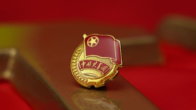 共青团团员中国共青团团徽徽章