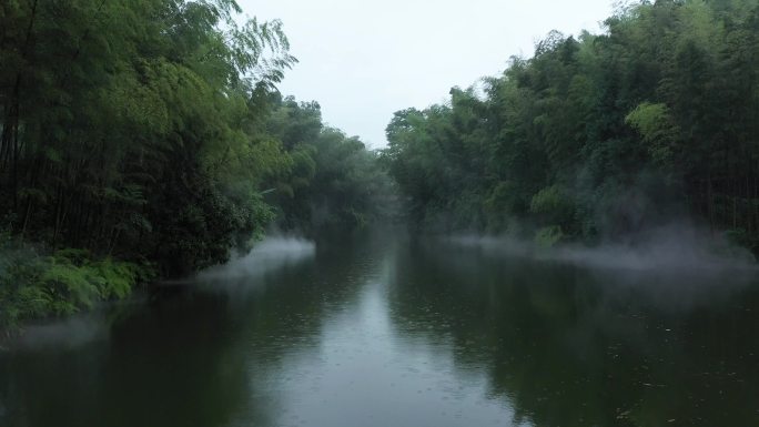 竹林烟雾缭绕湖面航拍