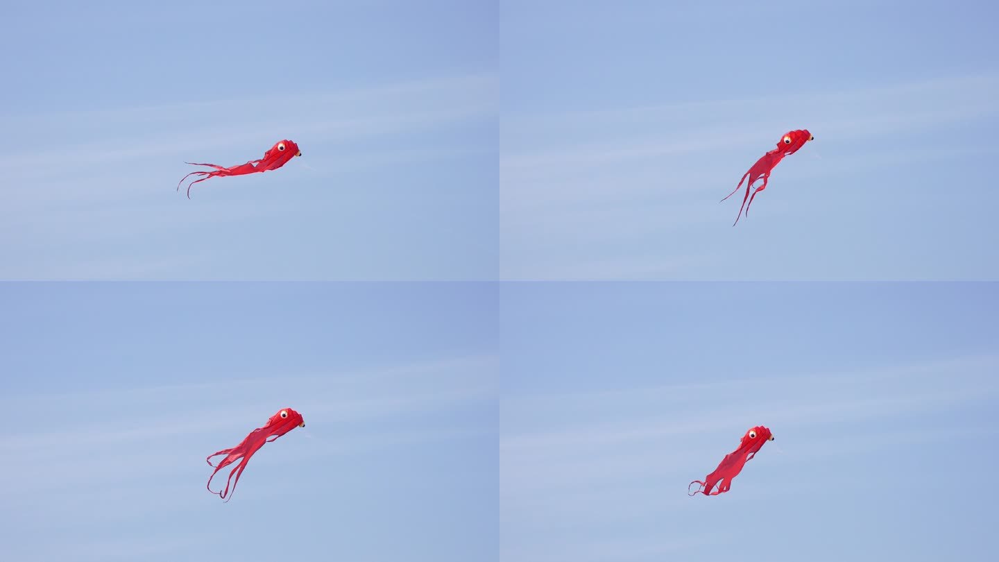 在天空中自由飞翔的风筝