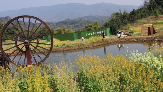 航拍重庆北碚水土新城田园牧歌五彩油菜花