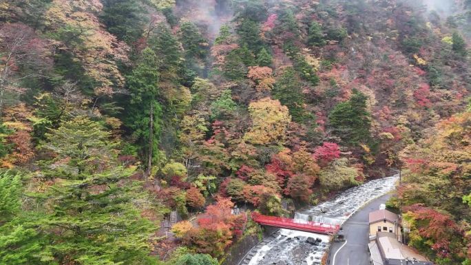 静冈县静冈市青井区，日本无人机拍摄的Umegashima温泉的秋叶