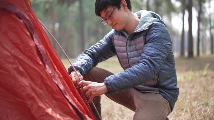 年轻的徒步旅行者在松林的露营区搭起帐篷
