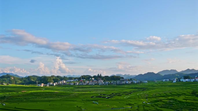 水稻梯田田野延时