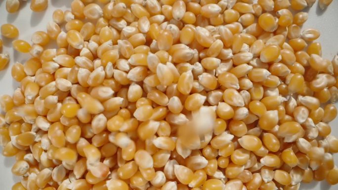 制作爆米花的干玉米粒掉落，俯视图，慢动作。