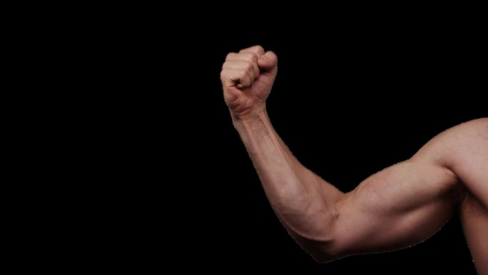 手势与alpha通道。键控。血管健壮的男性手臂炫耀肌肉。拳头姿态。权力