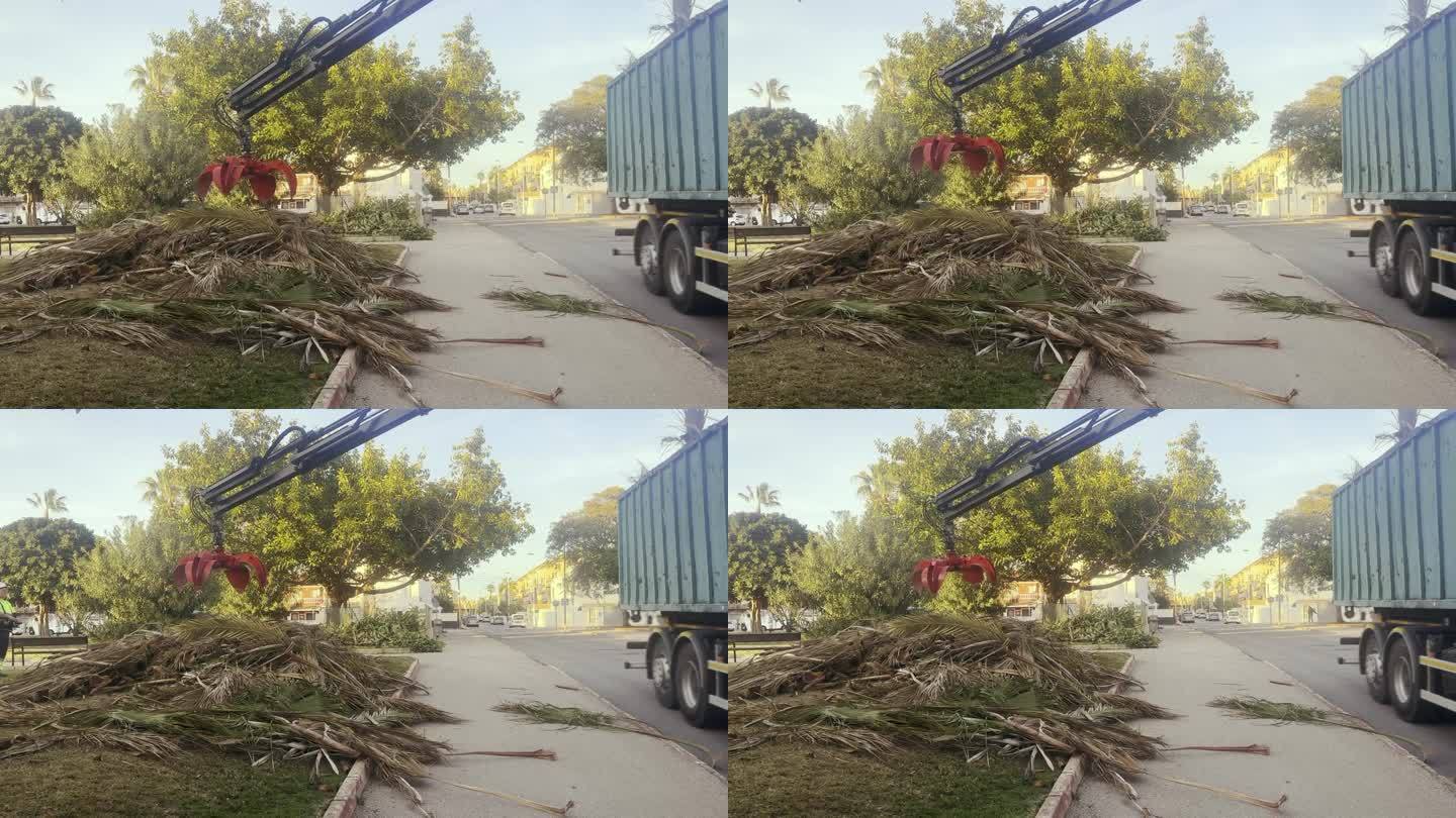 嫁接有效地清除了街道上被砍断的棕榈枝。在视频中，机器的抓手紧紧抓住修剪过的叶子的特写。修剪棕榈树需要
