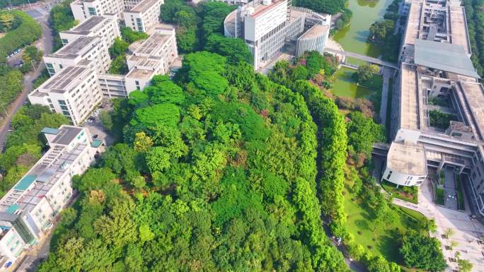 广东药科大学广州校区航拍大学城校园风景风